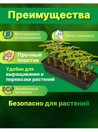 Ящик для рассады